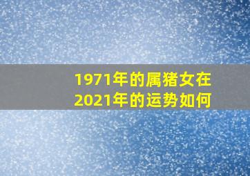 1971年的属猪女在2021年的运势如何