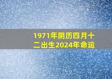 1971年阴历四月十二出生2024年命运