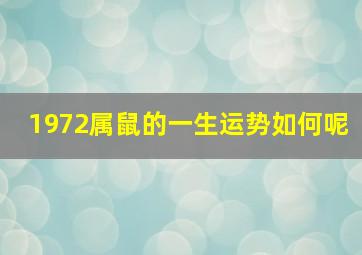 1972属鼠的一生运势如何呢