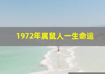 1972年属鼠人一生命运