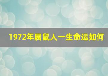 1972年属鼠人一生命运如何