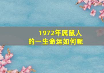 1972年属鼠人的一生命运如何呢