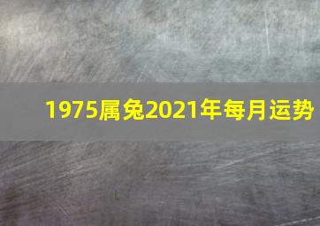 1975属兔2021年每月运势