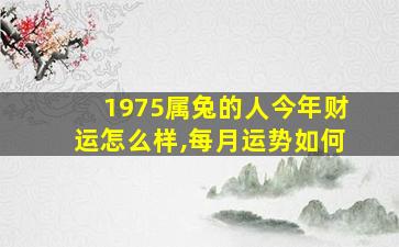 1975属兔的人今年财运怎么样,每月运势如何