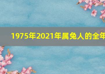 1975年2021年属兔人的全年