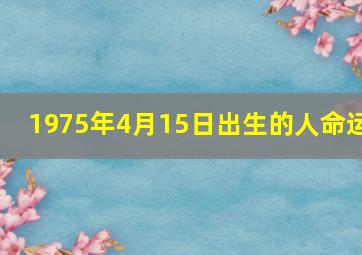 1975年4月15日出生的人命运