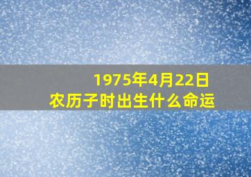 1975年4月22日农历子时出生什么命运