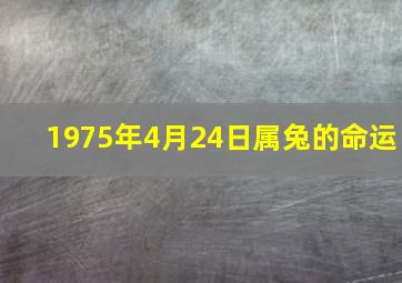 1975年4月24日属兔的命运