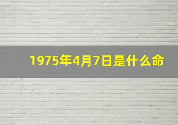 1975年4月7日是什么命