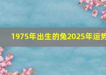 1975年出生的兔2025年运势