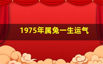 1975年属兔一生运气