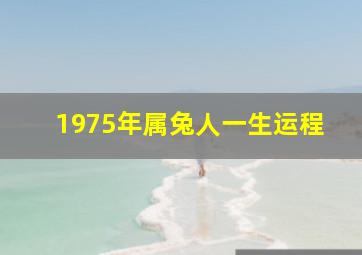 1975年属兔人一生运程