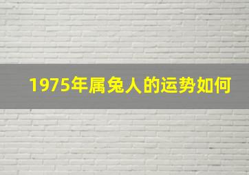 1975年属兔人的运势如何