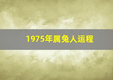 1975年属兔人运程