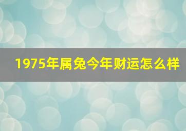 1975年属兔今年财运怎么样