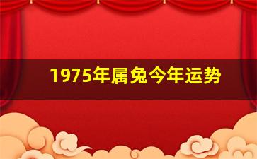 1975年属兔今年运势