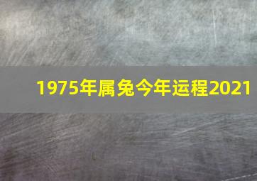 1975年属兔今年运程2021