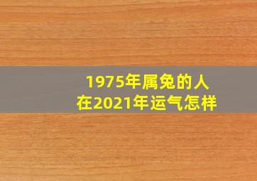 1975年属兔的人在2021年运气怎样