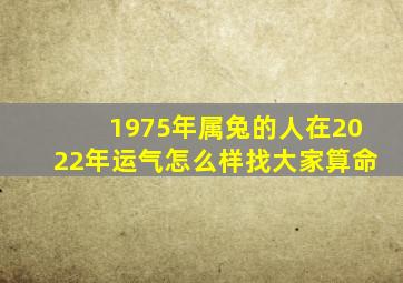 1975年属兔的人在2022年运气怎么样找大家算命