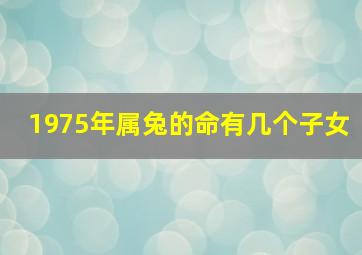 1975年属兔的命有几个子女