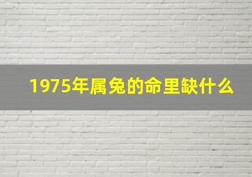 1975年属兔的命里缺什么