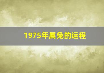 1975年属兔的运程