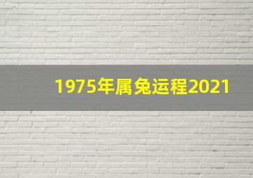 1975年属兔运程2021