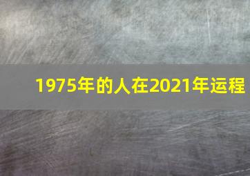 1975年的人在2021年运程