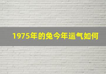 1975年的兔今年运气如何