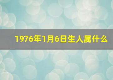 1976年1月6日生人属什么