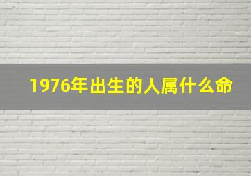 1976年出生的人属什么命