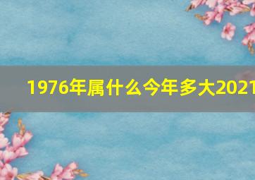 1976年属什么今年多大2021