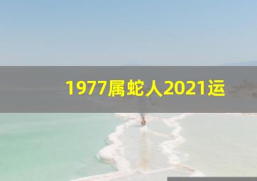 1977属蛇人2021运