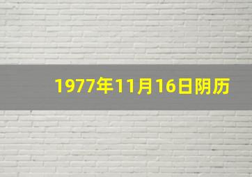 1977年11月16日阴历