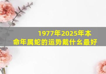 1977年2025年本命年属蛇的运势戴什幺最好