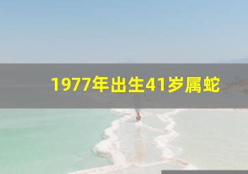 1977年出生41岁属蛇