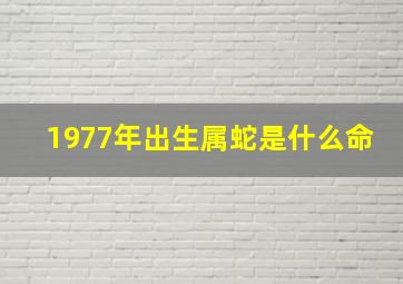 1977年出生属蛇是什么命