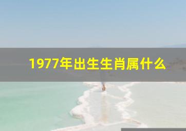 1977年出生生肖属什么