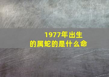 1977年出生的属蛇的是什么命