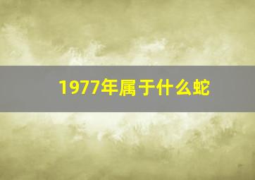 1977年属于什么蛇