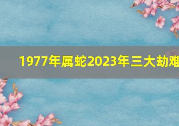 1977年属蛇2023年三大劫难