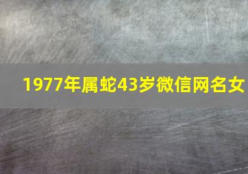 1977年属蛇43岁微信网名女