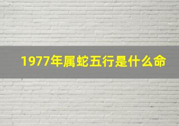 1977年属蛇五行是什么命