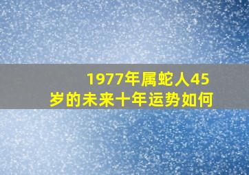 1977年属蛇人45岁的未来十年运势如何