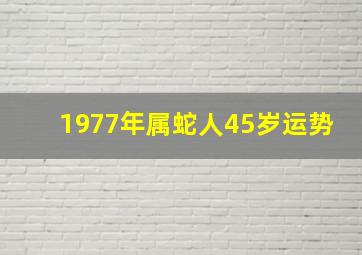 1977年属蛇人45岁运势