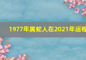 1977年属蛇人在2021年运程