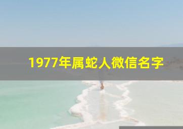 1977年属蛇人微信名字