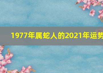 1977年属蛇人的2021年运势