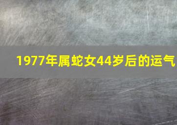 1977年属蛇女44岁后的运气