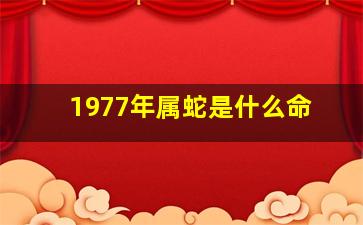 1977年属蛇是什么命